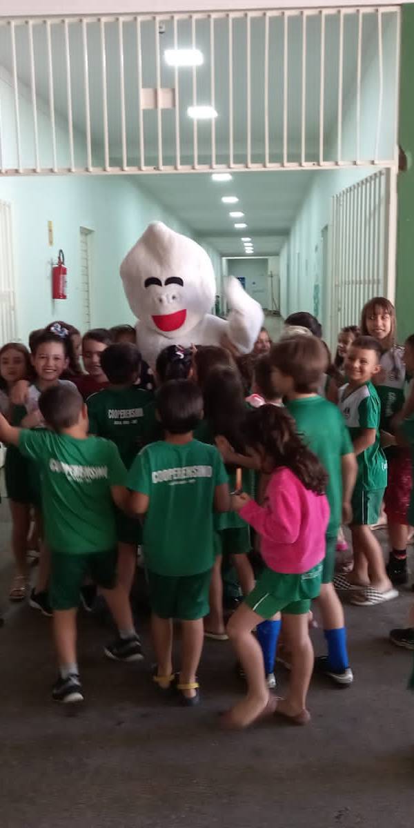 ze gotinha (34).jpeg